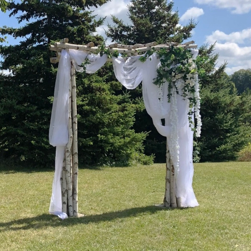birch arch decorated with organza and greenery