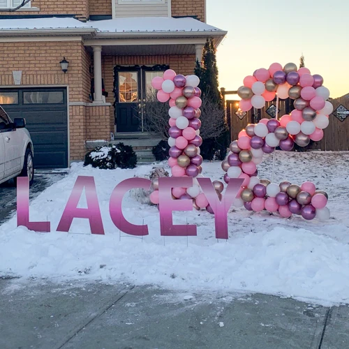 white, pink, and purple numbers outside in snow, for birthday