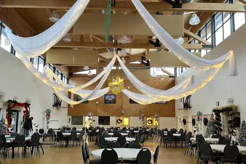 organza and lights ceiling treatment