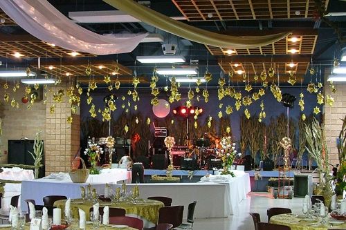 organza, lights, and hanging stars ceiling treatment