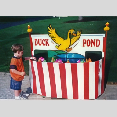 duck pond with ducks