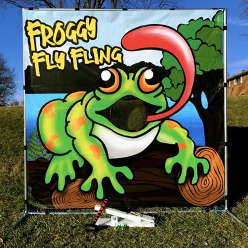 froggy fly fling game
