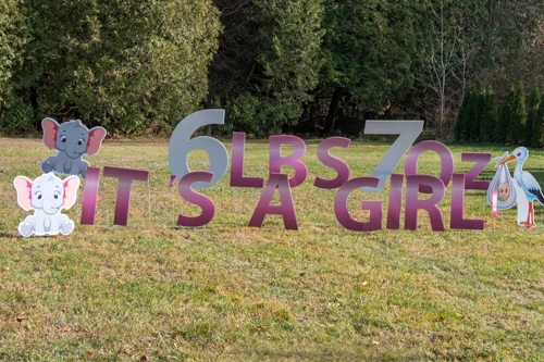 individual letters on lawn for baby announcement