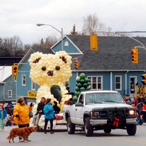 teddy bear balloon sculpture on a float in Bowmanville Santa Claus parade