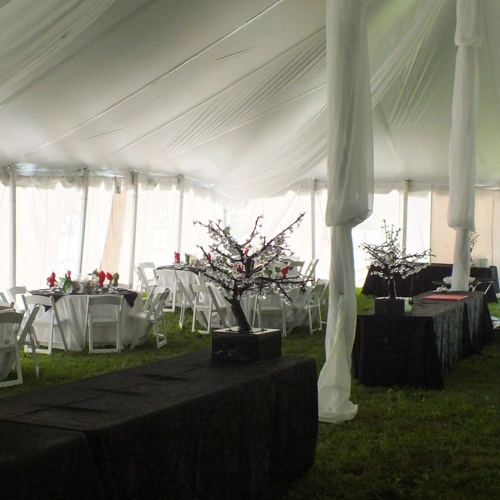 white organza ceiling  and pole treatment