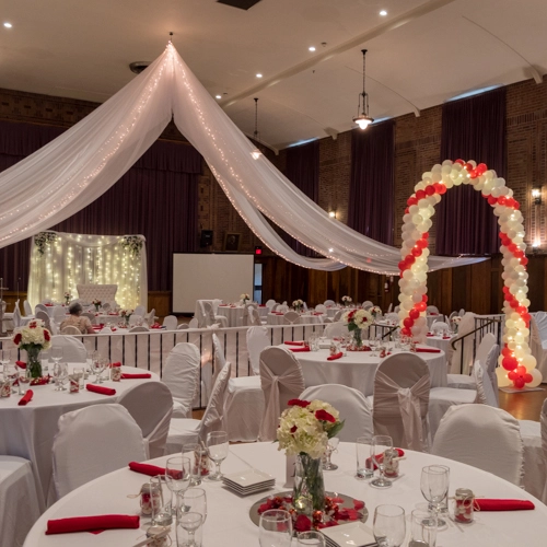 draped organza with mini lights