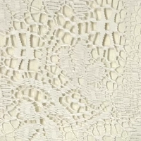 ivory lace