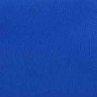 royal blue poly